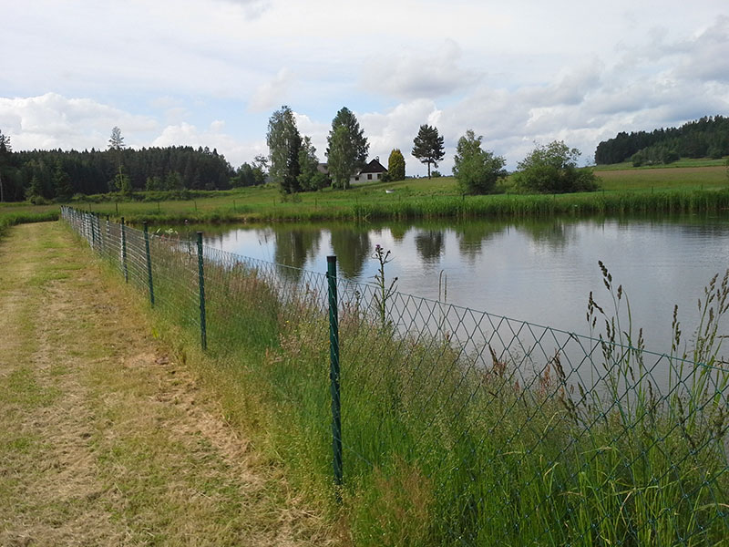 Zaunförderung Beispielbild