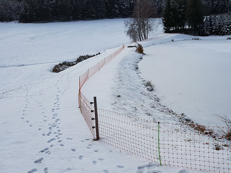 Zaunförderung Beispielbild