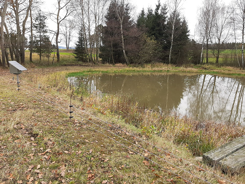 Zaunförderung Beispielbild